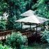 屋外の景色