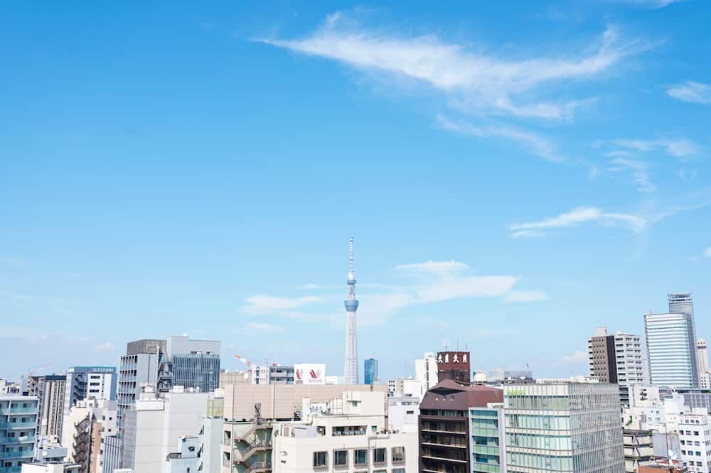 屋外の景色