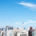 屋外の景色