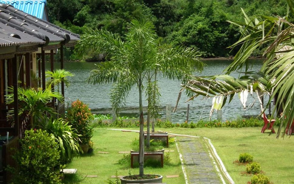 屋外の景色 写真