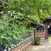 屋外の景色