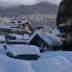 屋外の景色