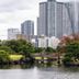 屋外の景色