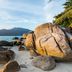 ビーチ