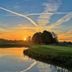 屋外の景色
