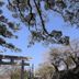 屋外の景色