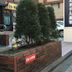 屋外の景色