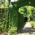 屋外の景色