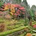 屋外の景色