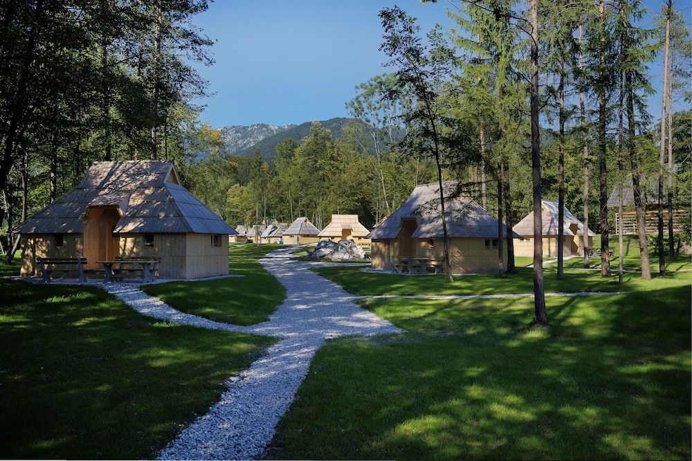 屋外の景色
