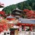 屋外の景色