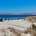ビーチ