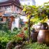 屋外の景色