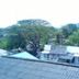 屋外の景色