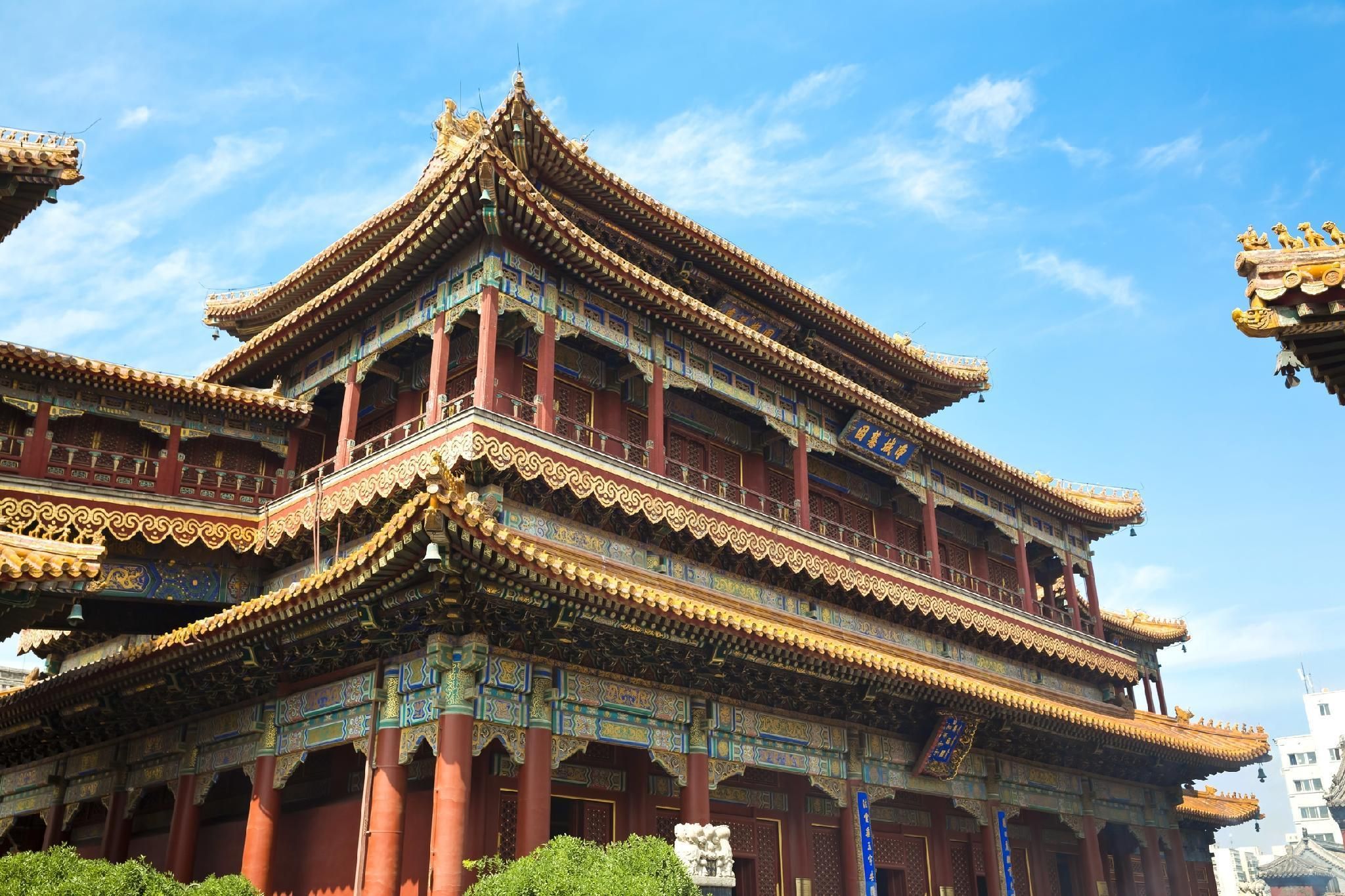 建物