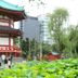 屋外の景色