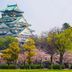 屋外の景色