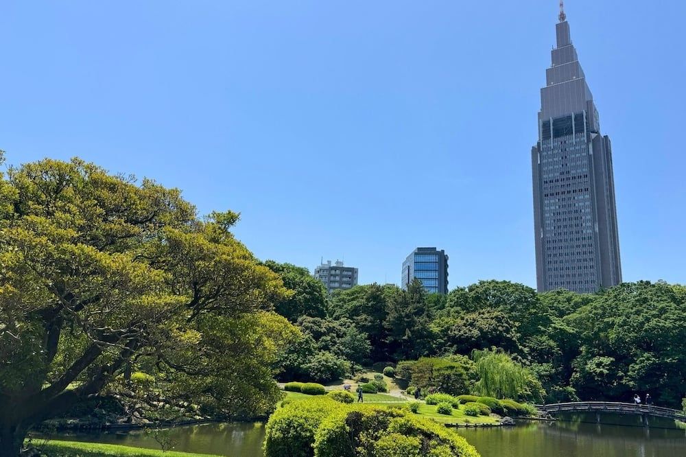 屋外の景色