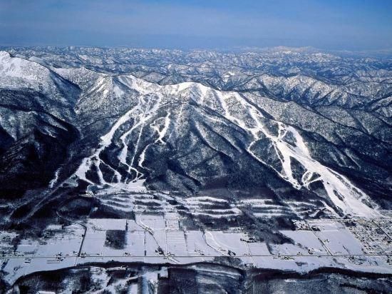 屋外の景色