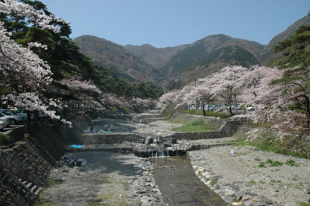 屋外の景色