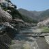 屋外の景色
