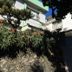 屋外の景色