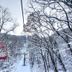 屋外の景色
