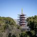 屋外の景色