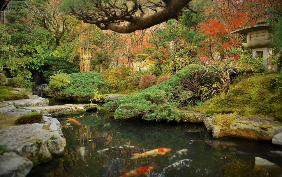 屋外の景色 写真