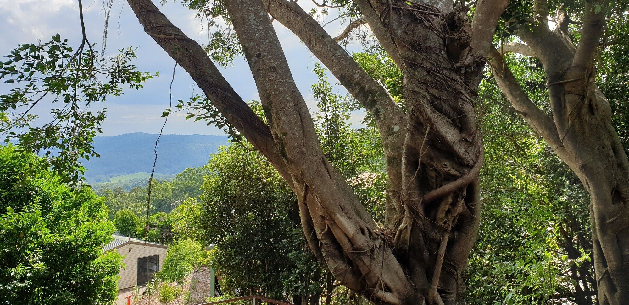屋外の景色