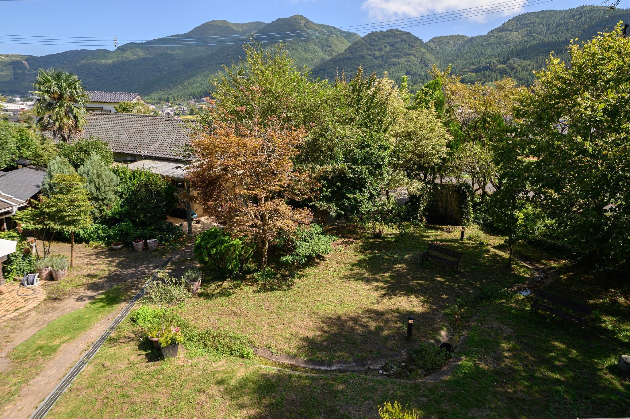 屋外の景色