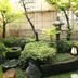 屋外の景色