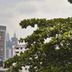 屋外の景色
