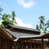 屋外の景色