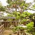 屋外の景色