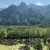 屋外の景色