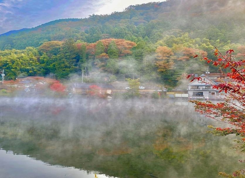 屋外の景色 写真