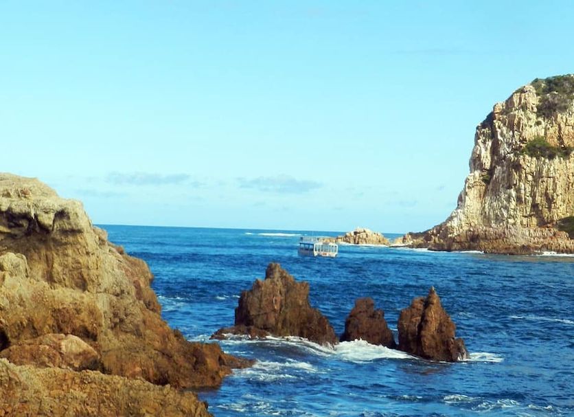 その他 写真