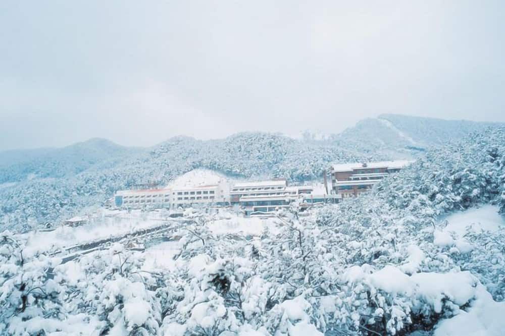 屋外の景色