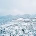 屋外の景色