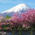 屋外の景色
