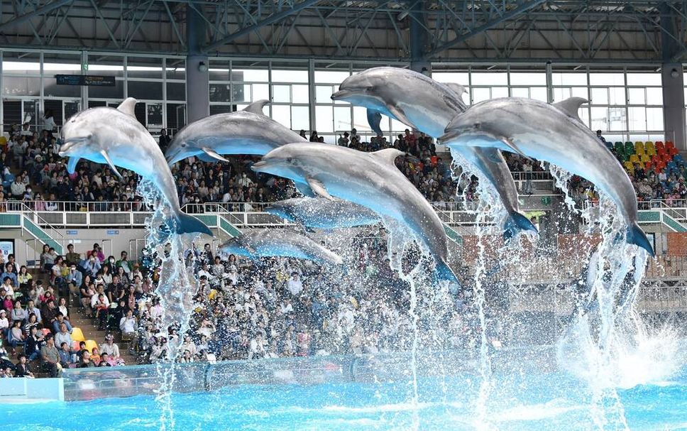 その他 写真