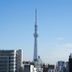 屋外の景色