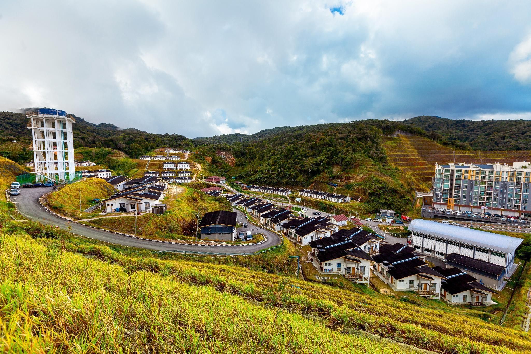 屋外の景色
