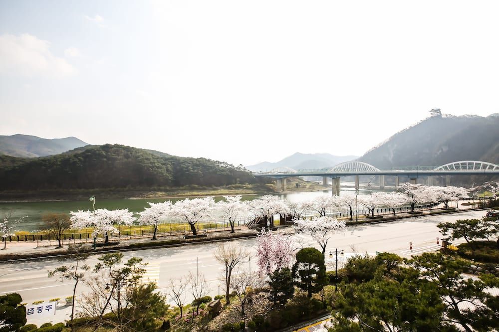 屋外の景色