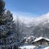 屋外の景色