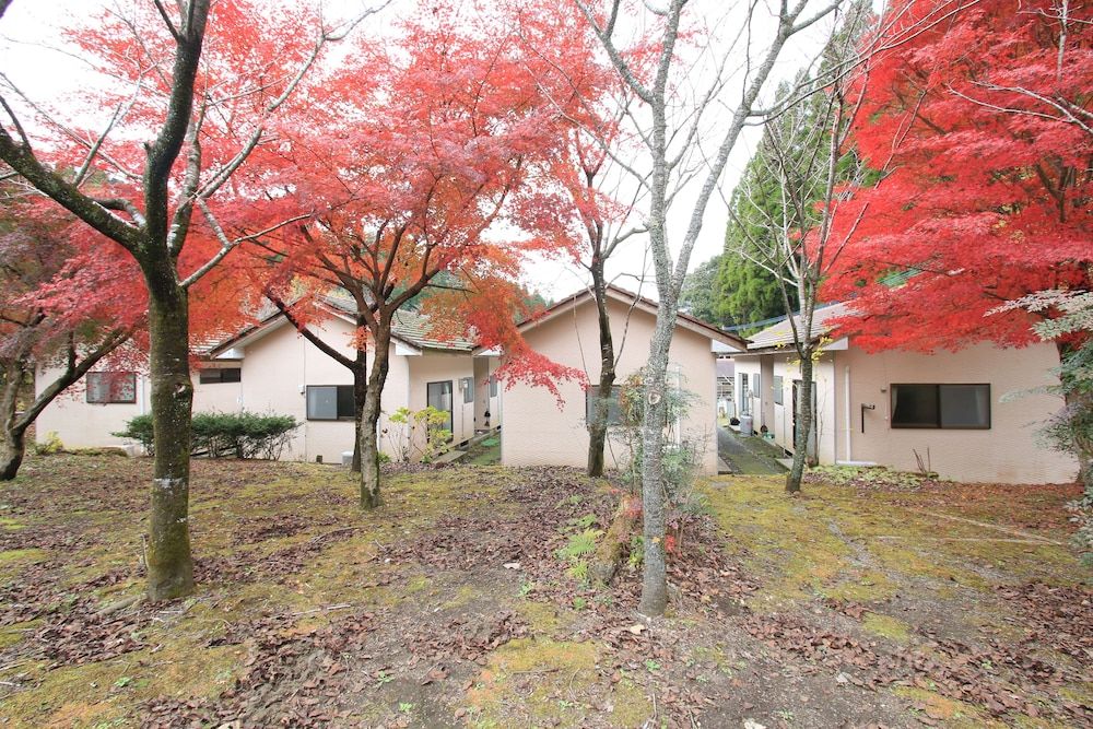 屋外の景色