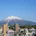 屋外の景色