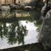 屋外の景色