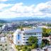 屋外の景色